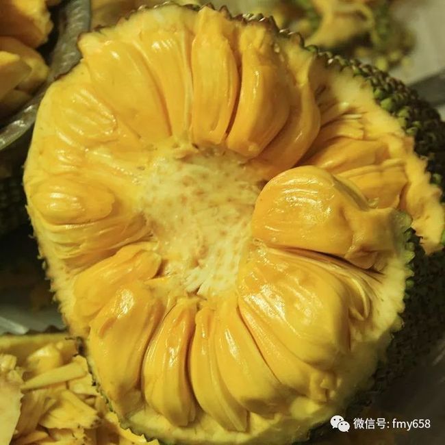 农民院士 相关产品