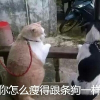 反安慰剂 相关产品