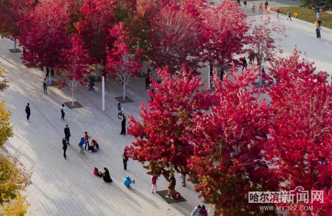 冲上云霄 相关产品