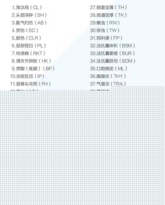 侍神令 产品主图