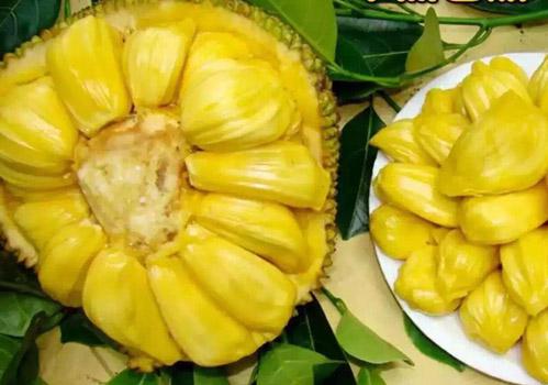 农民院士 相关产品