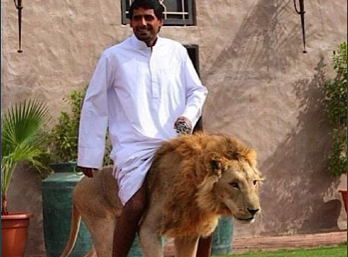 凤舞红尘 产品图片