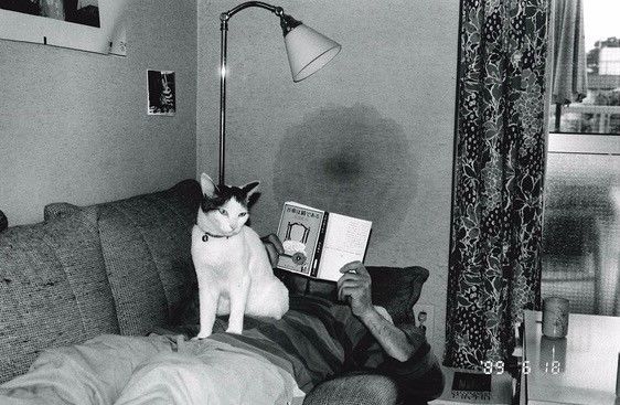 名声大噪 相关产品