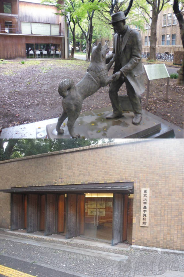 冰河的诅咒 相关产品