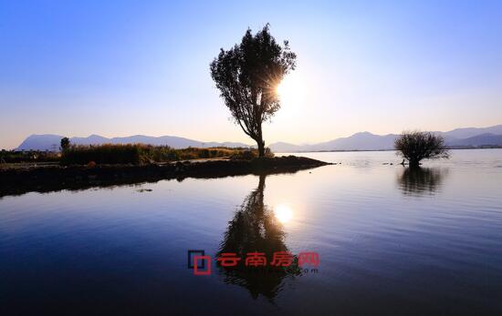 以规则之名 相关产品