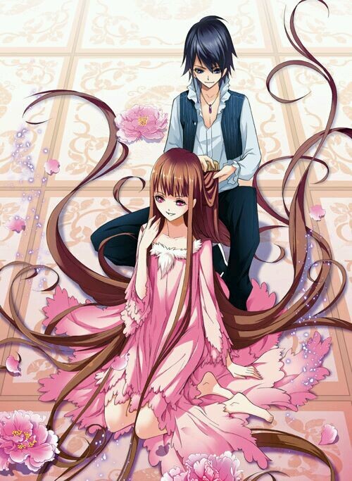 以规则之名 推荐产品