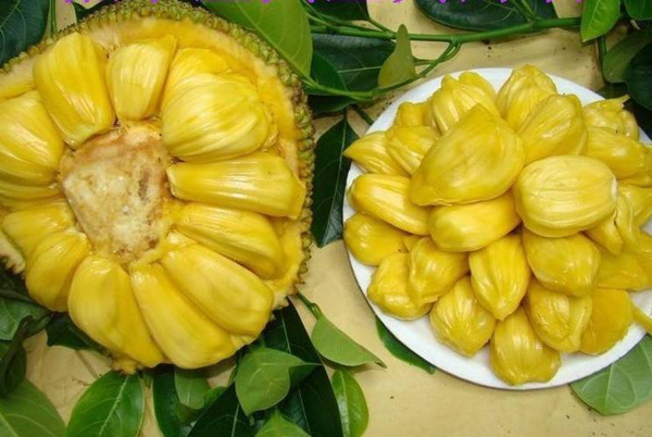 冒牌大哥 相关产品