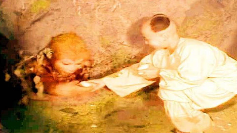 冰肤传说 相关产品