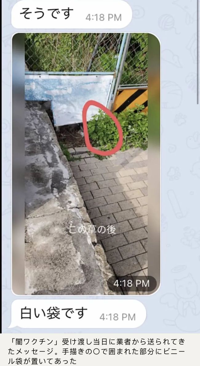 凋零在春天 相关产品