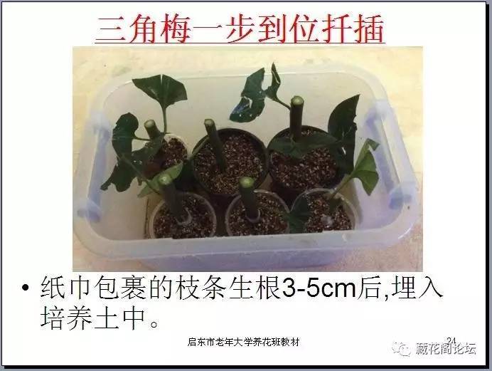 任性的硬币 相关产品