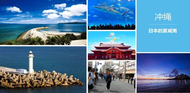 儿童捕手 相关产品