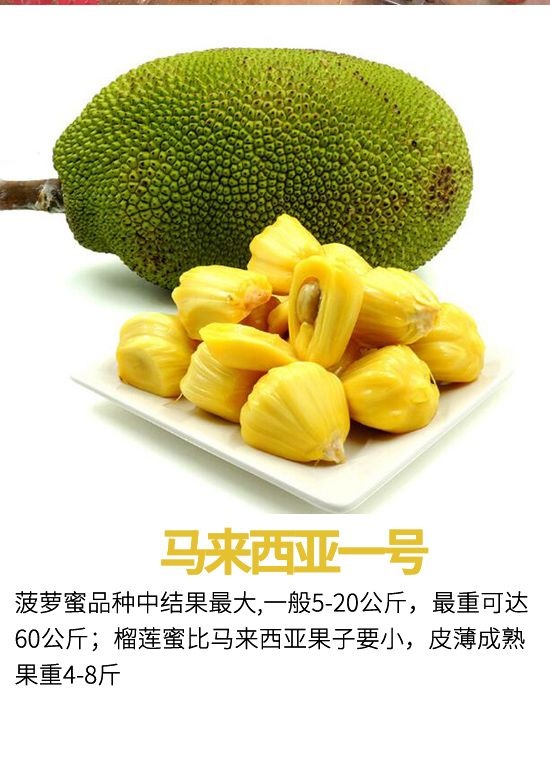 你们这些人 相关产品