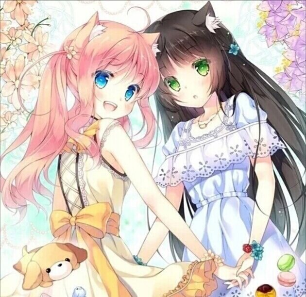 信·守 相关产品