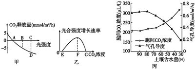 低压槽：欲望之城 相关产品