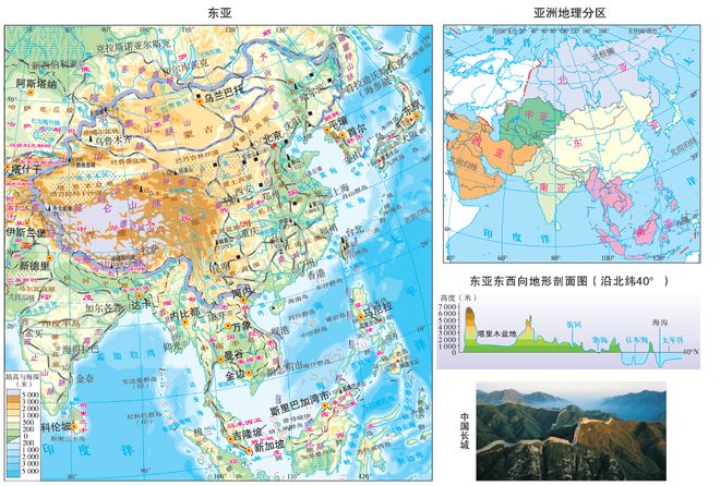 冰河的诅咒 相关产品