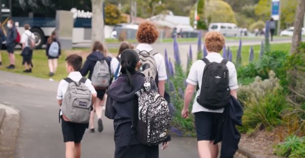 信号100 相关产品