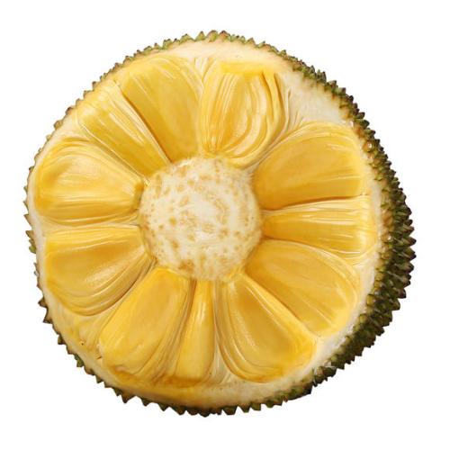 伤痛不会将我们拆散 推荐产品