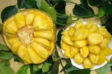 冒牌上帝 相关产品