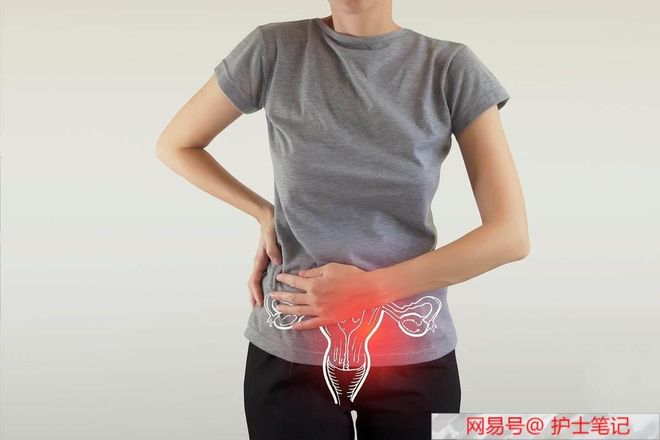 伊莎贝拉（国语版） 相关产品