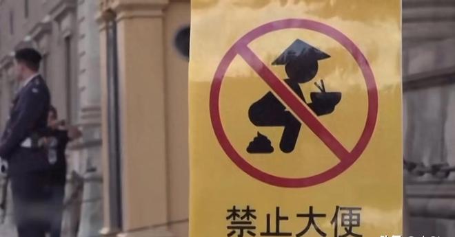 僵尸山雀 相关产品