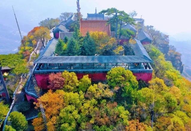 51号星球 产品主图