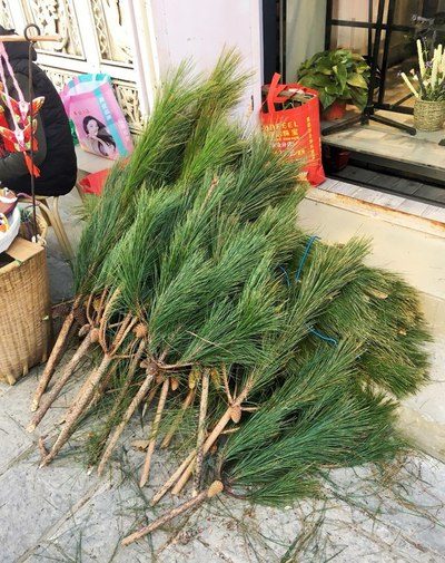 侥幸逃生的司机 产品主图