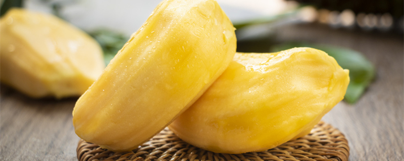 像小强一样活着 产品图片