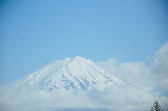 余生一年的我，遇见了的余生半年的你的故事 相关产品