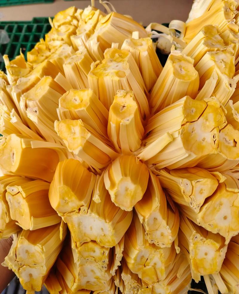 佩里亚复仇 相关产品