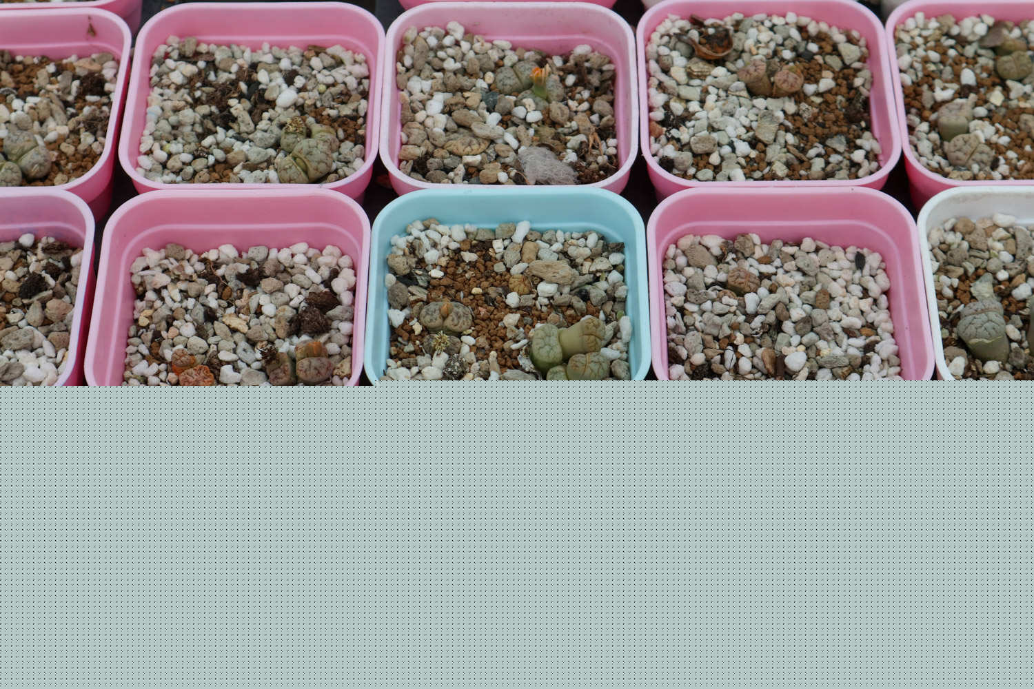 倩女幽魂2人间道 (普通话版)