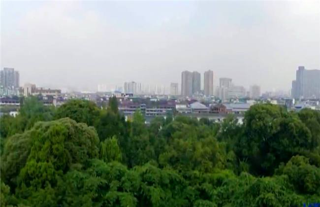 元祖观察之死无对证 相关产品