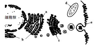 冥婚红包 相关产品