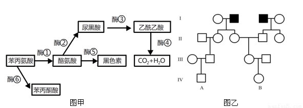 传承叶 相关产品