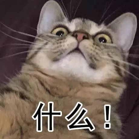 凤凰城等着你 产品图片