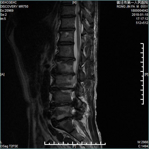 51号星球 产品主图