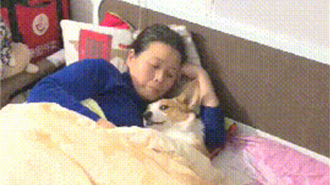 保安官 产品图片