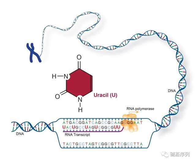 名侦探柯南：零的执行人（国语版）