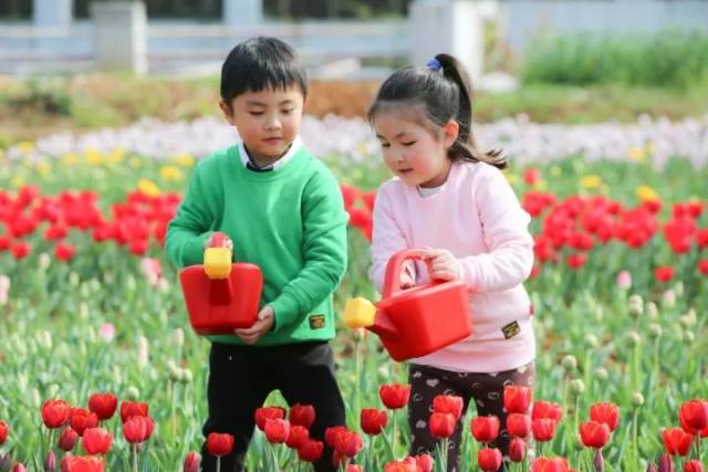 偷心者 相关产品