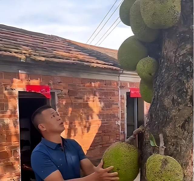 催泪剂 产品主图