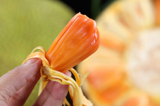 凋零在春天 相关产品