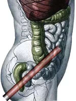 但丁密码（粤语版）