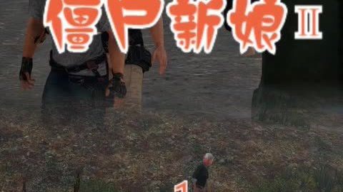 依莉丝 相关产品