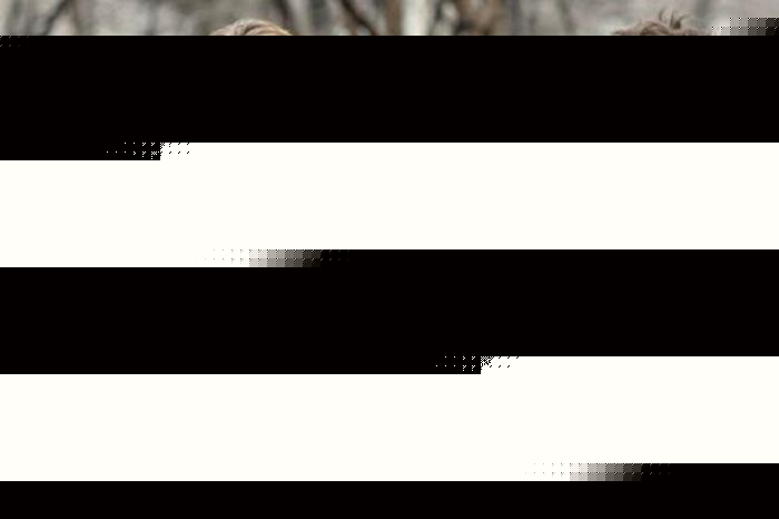 出租家人 普通话 相关产品