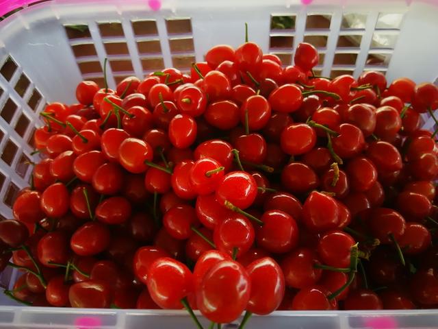 佩里亚复仇 产品图片