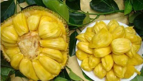 何方神圣 相关产品