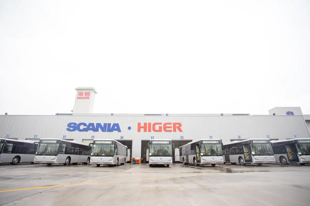 偷来的女儿 相关产品