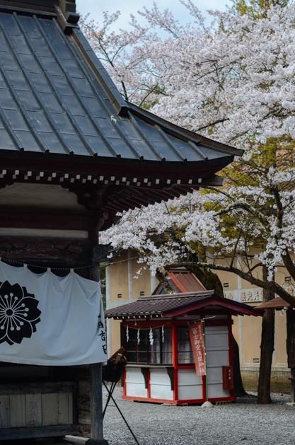 偷窃法则 相关产品