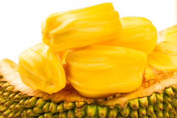 假如猫从世界上消失了 相关产品