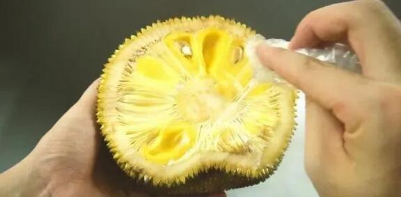 信念一生 产品主图