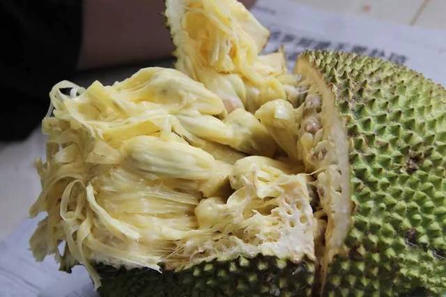 伊尼舍林的报丧女妖 产品主图